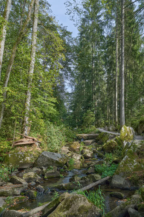 Gemeinde Waldkirchen Landkreis Freyung-Grafenau Saußbachklamm (Dirschl Johann) Deutschland FRG